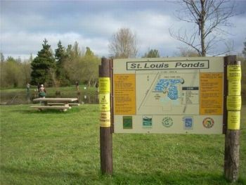 St Louis Ponds Map St. Louis Pond Is A Great Fishing Experience - Salem-News.com