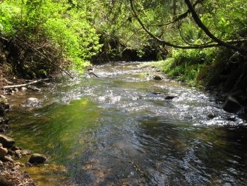 Clean water ranks among the most valuable resources in America.  Photo by Bonnie King Salem-News.com