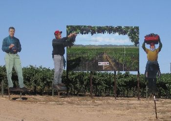 Sign in California features farm laborers