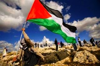 Palestine Freedom