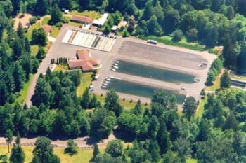 ODFW’s Clackamas fish hatchery