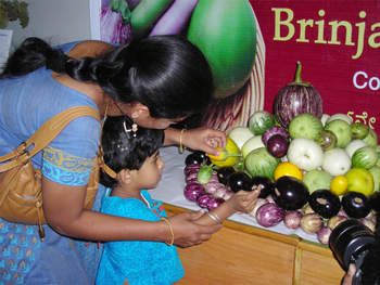 Mom and her child in India carefully study a store's fruit and vegetable offerings.