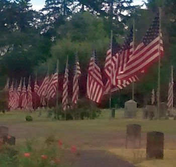 United States flags