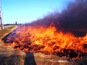 Silverton Oregon Grass Fire