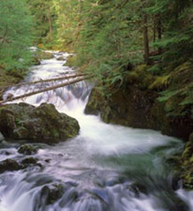 Opal Creek