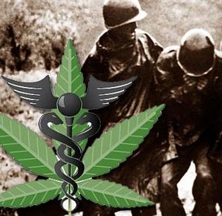 Veterans and marijuana