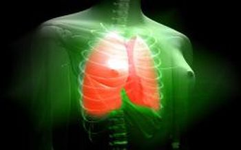 Lung cutaway