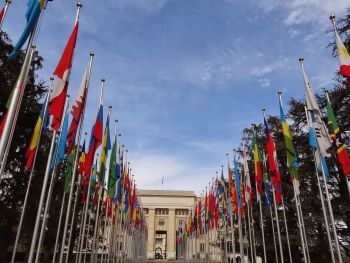 UNHRC flags