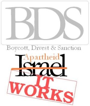 BDS Movement