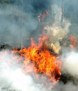 Fire at Griffith Park in Los Angeles