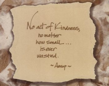 kindness quote