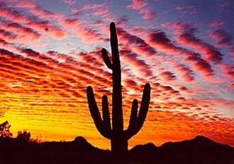 Arizona sunset