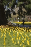 a display in memory of the victims of the Holocaust