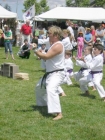 A martial arts performance by black belt John Olivera