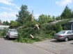 lightning downed tree in Keizer