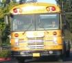 School bus