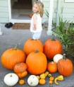 Pumpkins and litle girl