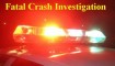 fatal crash investigation logo